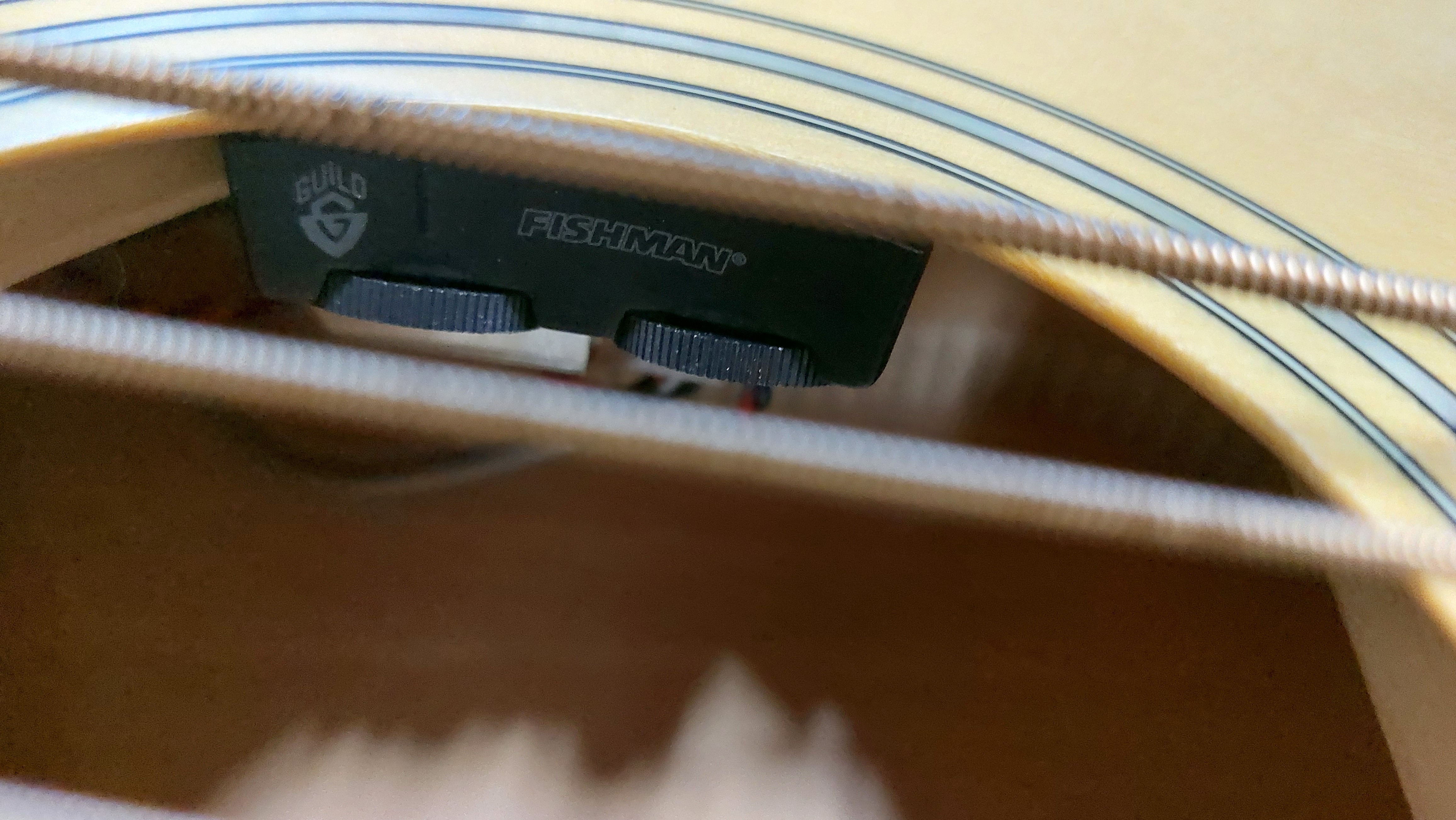 Guild Jumbo Junior Bass 5