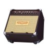 Carlsbro Sherwood 20 Akustikgitarrencombo