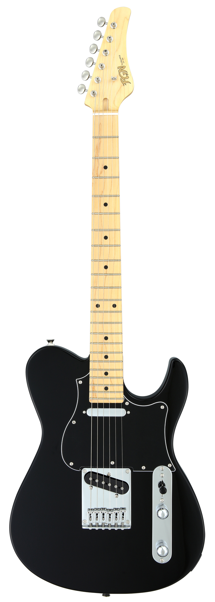 FGN Boundary Iliad 2 Black E-Gitarre